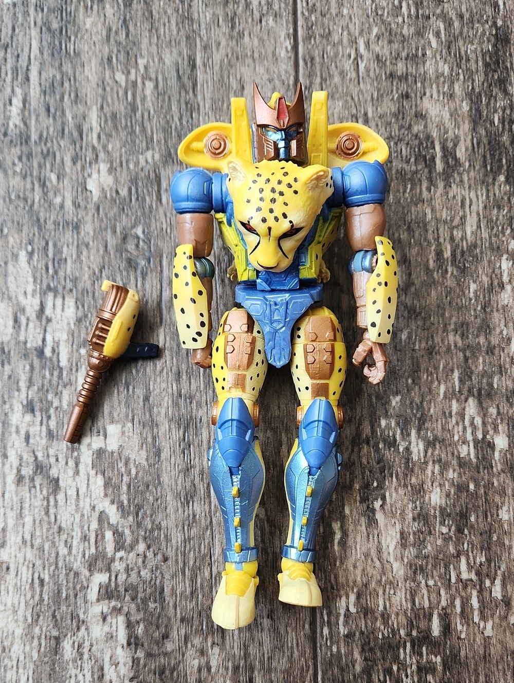 Transformers R.E.D. (Robot Enhanced Design) Beast Wars Cheetor action figure.